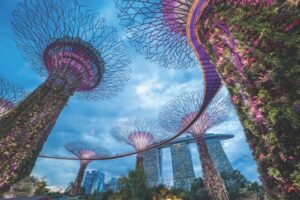 Destination_-_Singapore__ScaleMaxHeightWzM2MF0